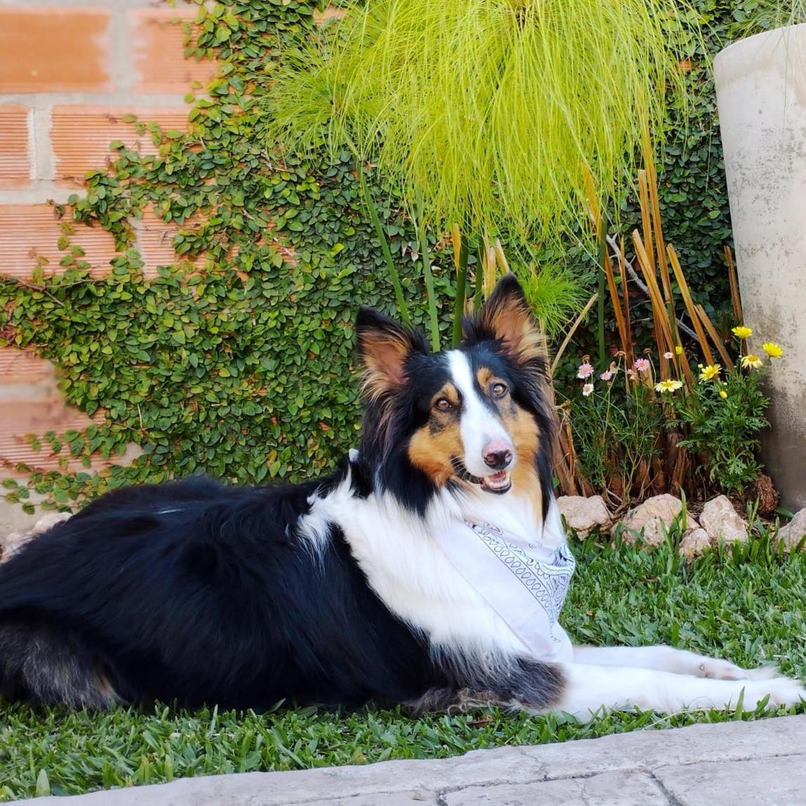 Vina * Villa Elisa (Entre Rios)